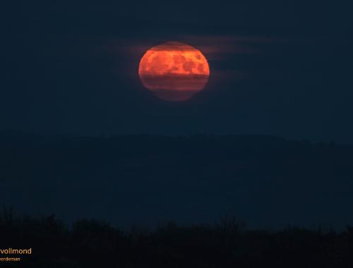 Nr. 06: Supervollmond