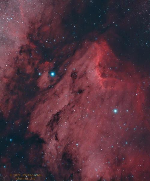 Nr. 12: IC 5070 Pelikannebel