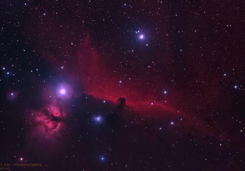 Nr. 13: IC 434/B 33 | Pferdekopfnebel