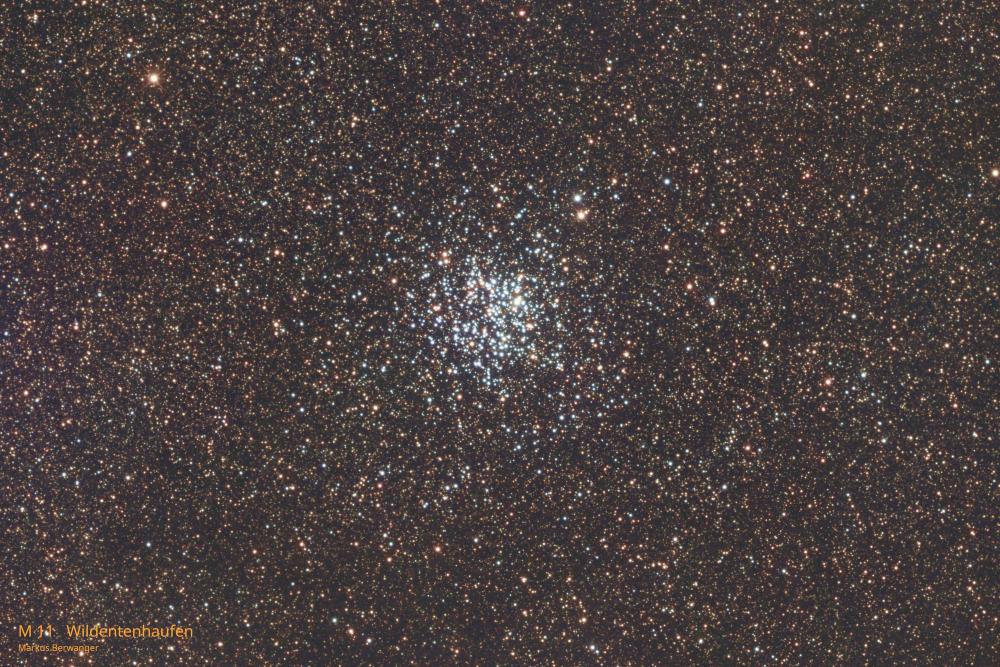 Nr. 24: M 11 | Wildentenhaufen