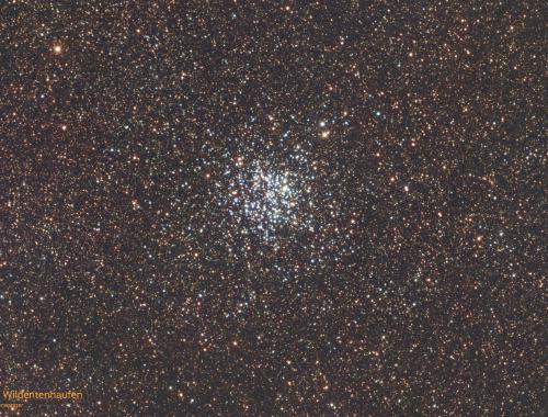 Nr. 24: M 11 | Wildentenhaufen