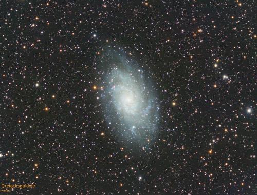 Nr. 26: M 33 | Dreiecksgalaxie