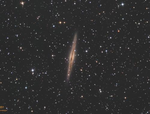 Nr. 29: NGC 891
