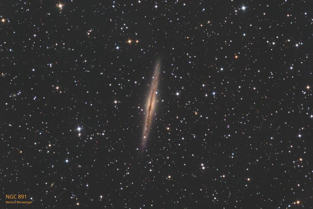 Nr. 29: NGC 891