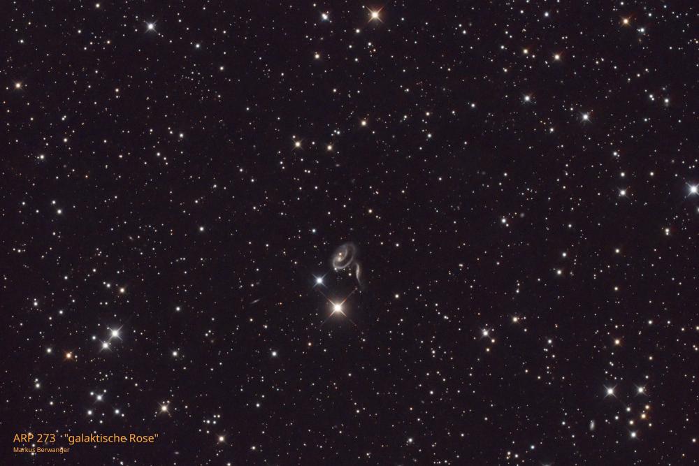 Nr. 30: ARP 273 | galaktische Rose