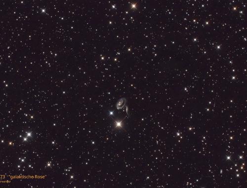 Nr. 30: ARP 273 | galaktische Rose