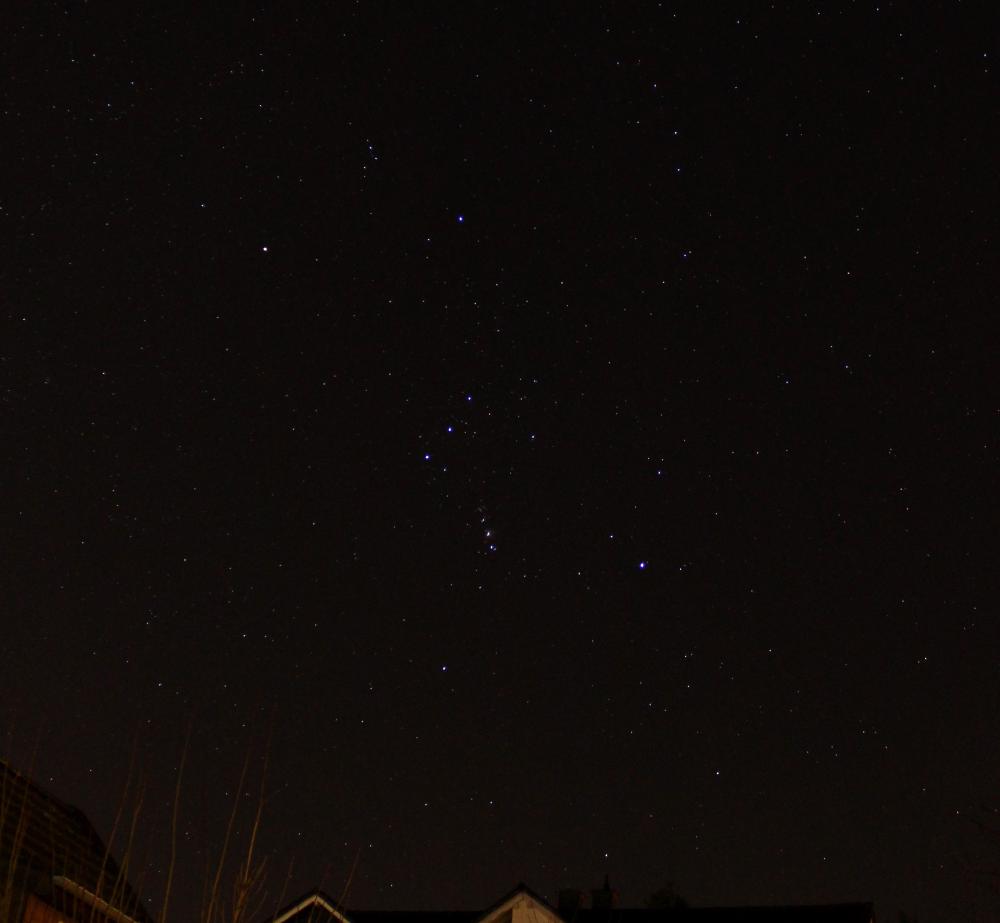Sternbild Orion