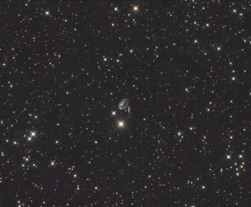 ARP 273 - Die galaktische Rose