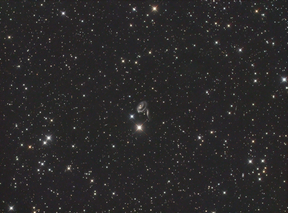 ARP 273 - Die galaktische Rose