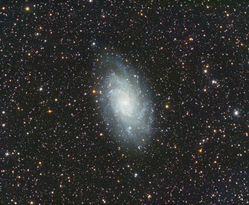 Messier 33 (M33), Dreiecksgalaxie