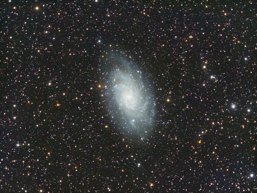 Messier 33 (M33), Dreiecksgalaxie