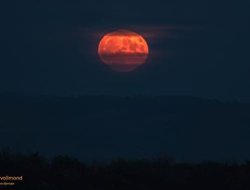 Nr. 06: Supervollmond